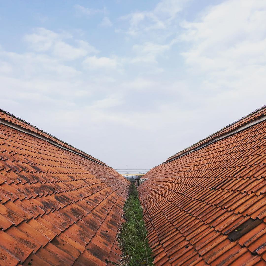New Home Construction