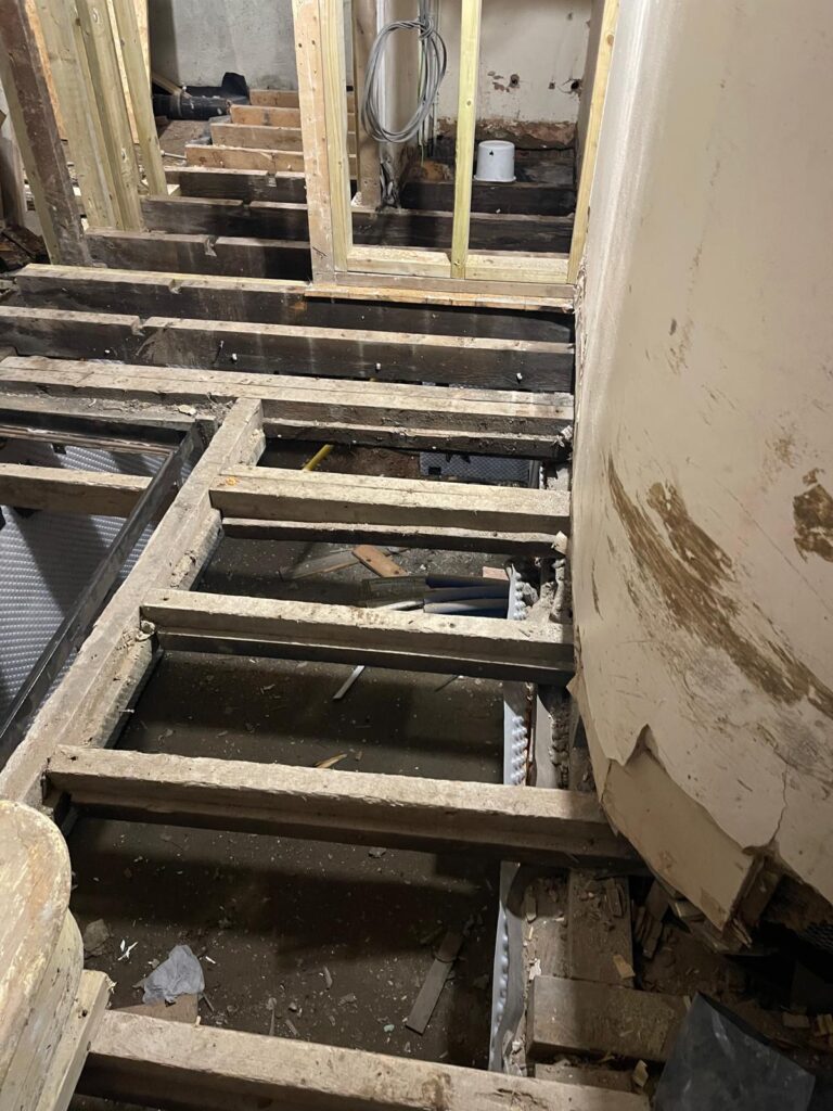 House Renovation, Stroud Green